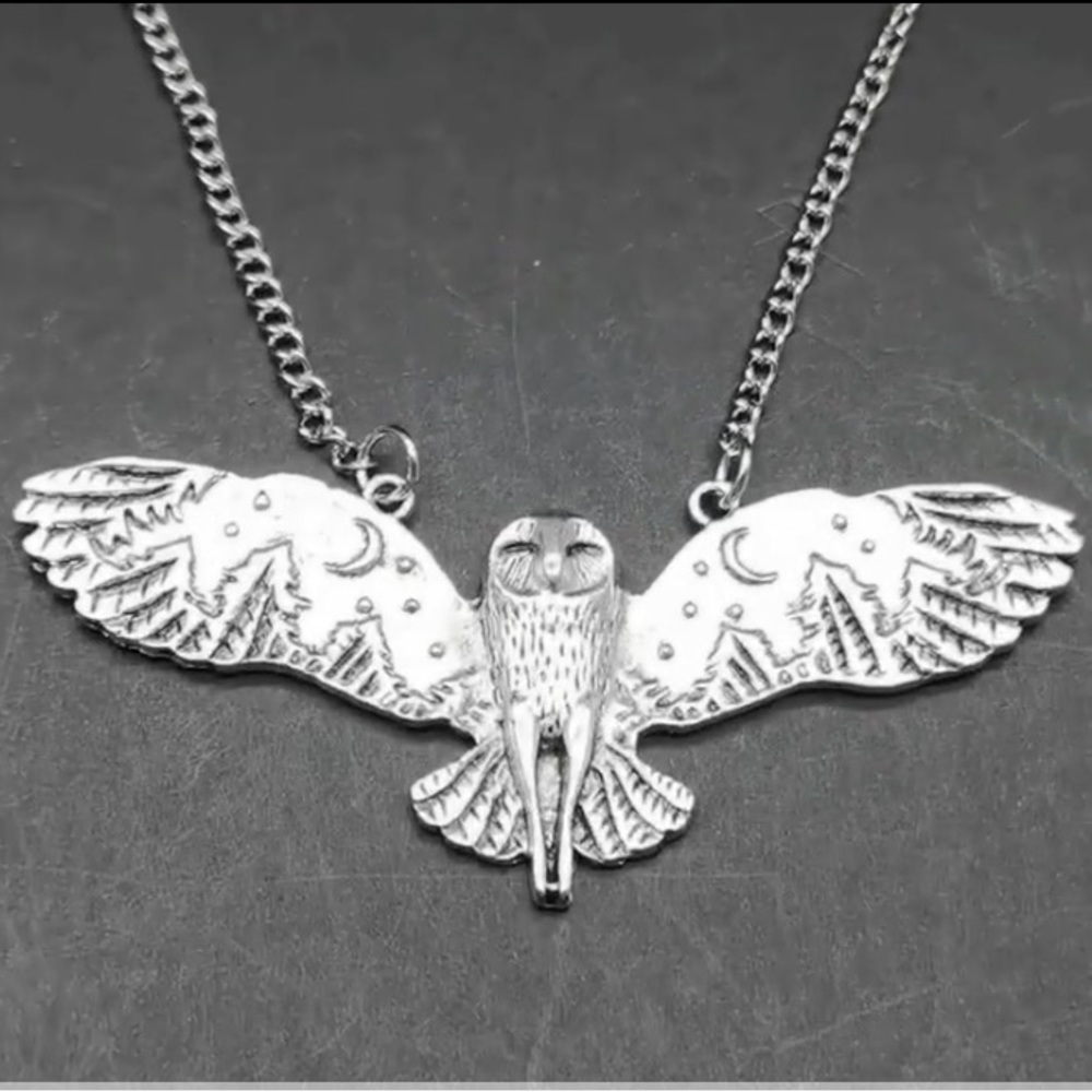 Silver Flying Owl Necklace - Picture 2 of 5